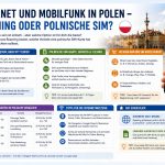 Polen Internet
