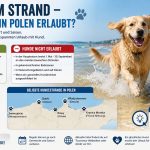 Polen Hunde Strand